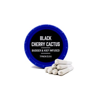 BlackCherryCactus 02
