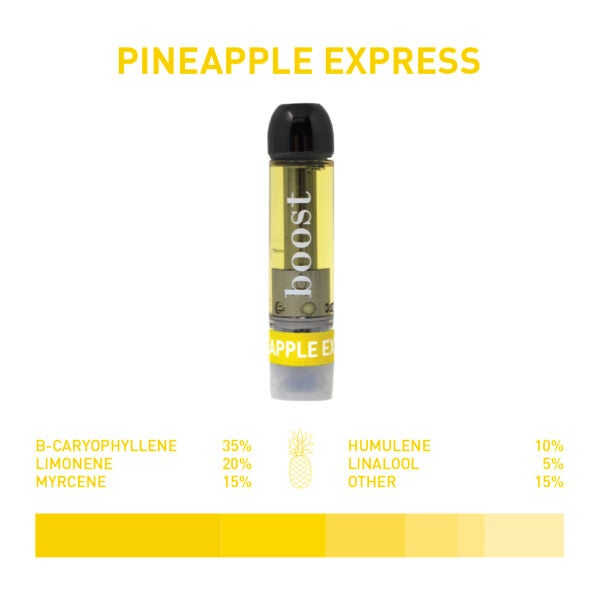 PineappleExpressProfile 1
