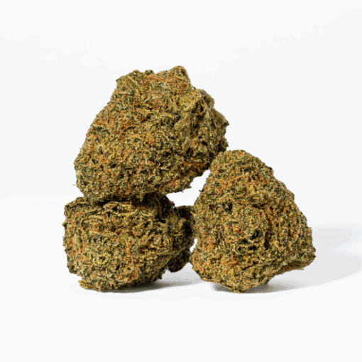Night Nurse (AA) - Image 3