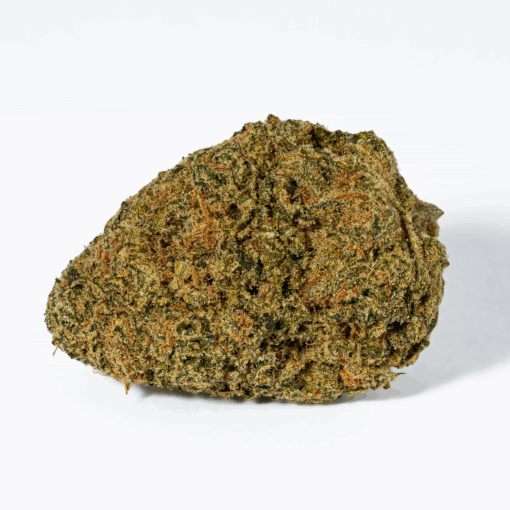 Night Nurse (AA) - Image 4