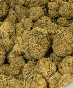 Night Nurse (AA)