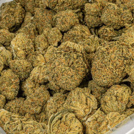 Night Nurse (AA)