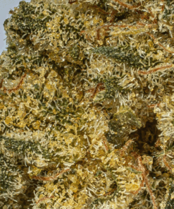 Obama Kush (AA)