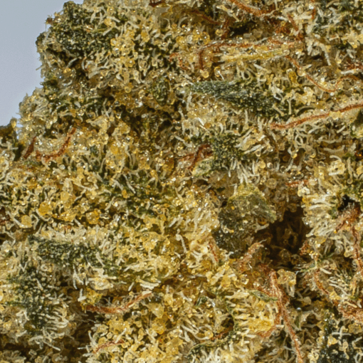 Obama Kush (AA)