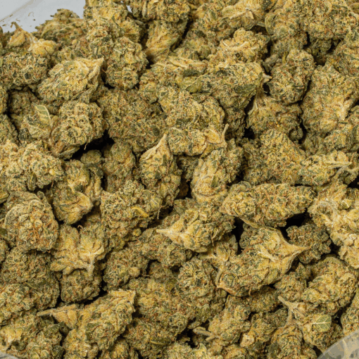 Obama Kush (AA) - Image 5