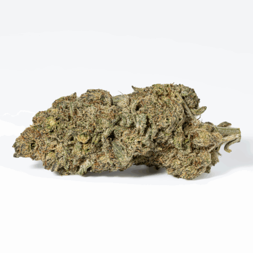 Head Betty (AA) - Image 2