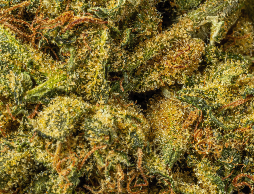 Sour Tangie (AA) - Image 5
