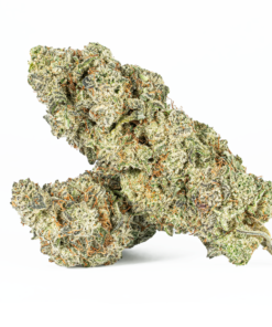 Slurricane (AA+)