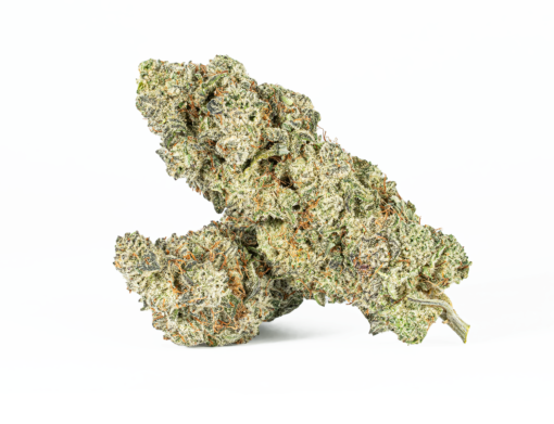 Slurricane (AA+)