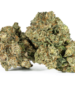 Purple Kush (AAA)