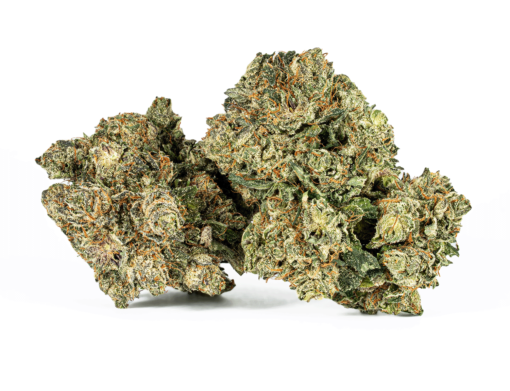 Purple Kush (AAA)