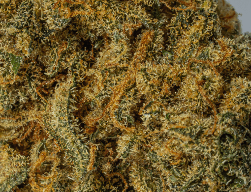 Orange Mints (AAA) - Image 2