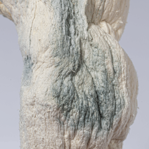 Blue Meanies Mushrooms - Image 3