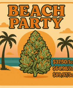 Beach Party (Promo)