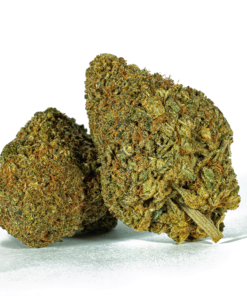 Beaver Tail (AA+)