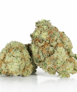 Berner Cookies (AAAA)