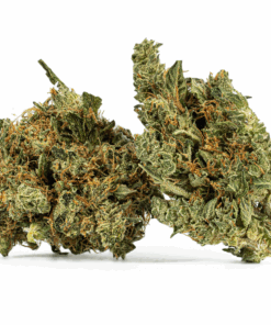 Cali Bubba (AA)