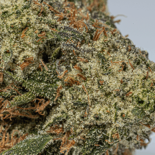 Chemical Weapon (AAA+) - Image 4