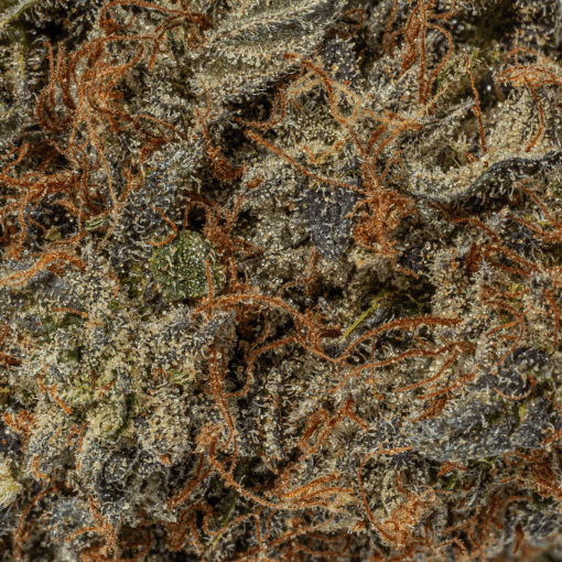 Shut Eye (AAA+) - Image 4