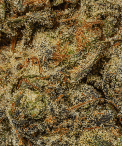 Blue Face (AAA)