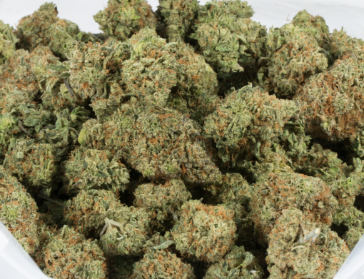Critical Mass (AA+) - Image 4