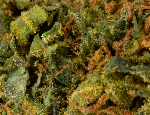 Durban Poison (AA) - Image 6