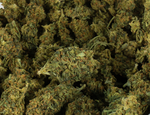 Durban Poison (AA) - Image 5