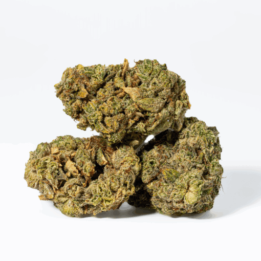 98 Lemon Haze (AA) - Image 3
