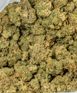 98 Lemon Haze (AA)