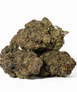 Grunk Panda (AAAA)