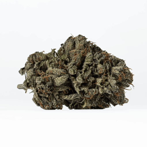 Gas Daddy (AAAA) - Image 2