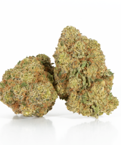 Gelato (AAA+)