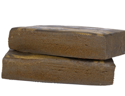 Lion Hash - Image 2