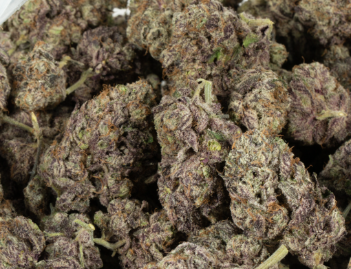 Hawaiian Honey Purple (Craft) - Image 4