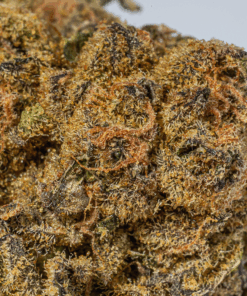 UK Cheese (AA)