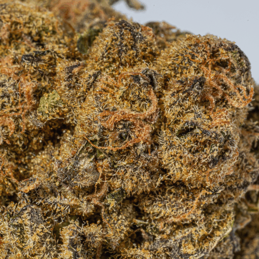 UK Cheese (AA)