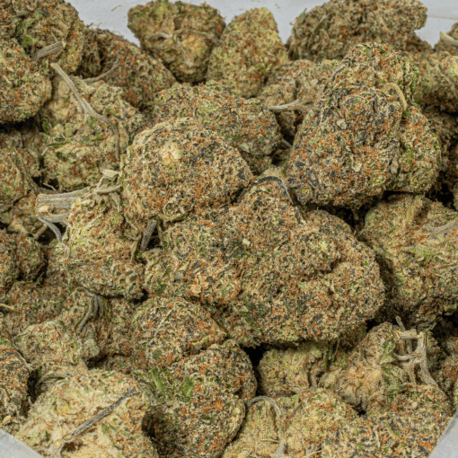 Purple Punch (AAA+) - Image 5