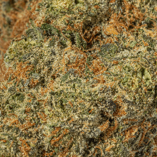 Mystery Ounce (AAA) - Image 12