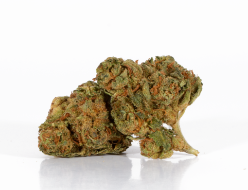 Maui Mango Diesel (AA) - Image 3