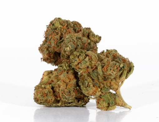 Maui Mango Diesel (AA) - Image 2