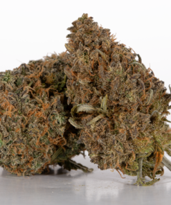 Mimosa (AAA)