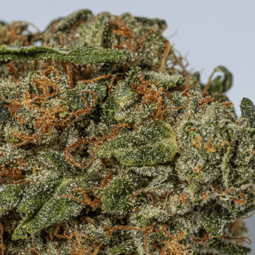 Bubba Kush (AA+) - Image 5