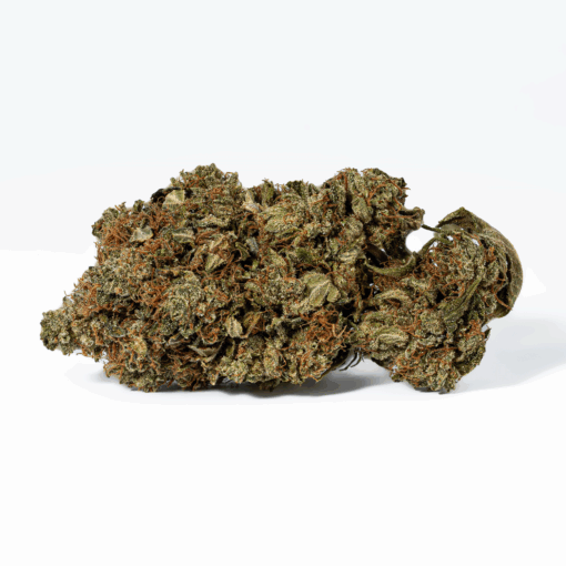 Grease Monkey (AA) - Image 4