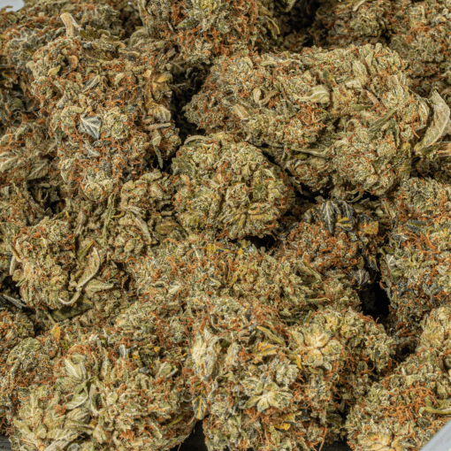 Grease Monkey (AA)