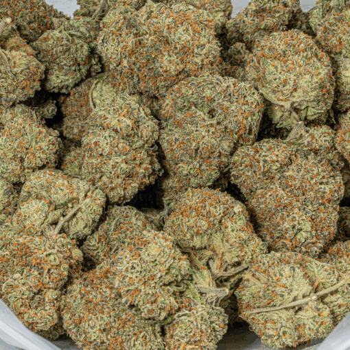 Blackberry Headband (AAA+) - Image 5