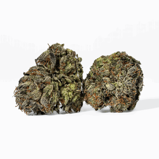 Gas Mask (AAAA) - Image 2