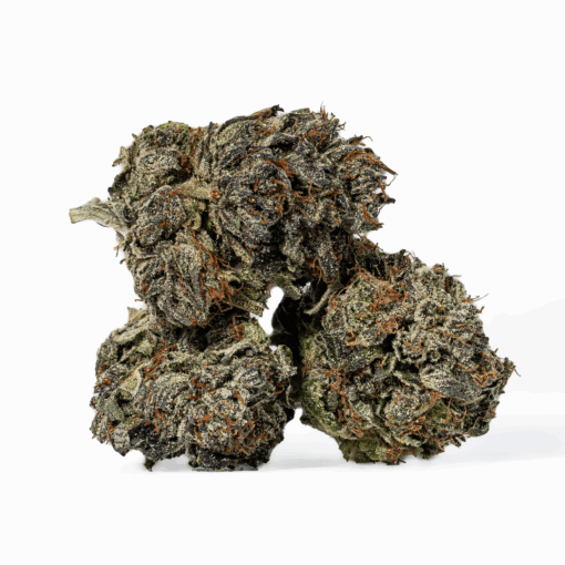 Gas Mask (AAAA) - Image 3