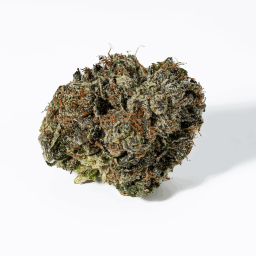 Gas Mask (AAAA) - Image 4