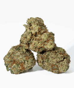 Cherry Dosi (AAA+)