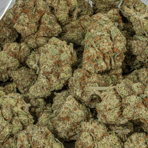 Cherry Dosi (AAA+) - Image 5